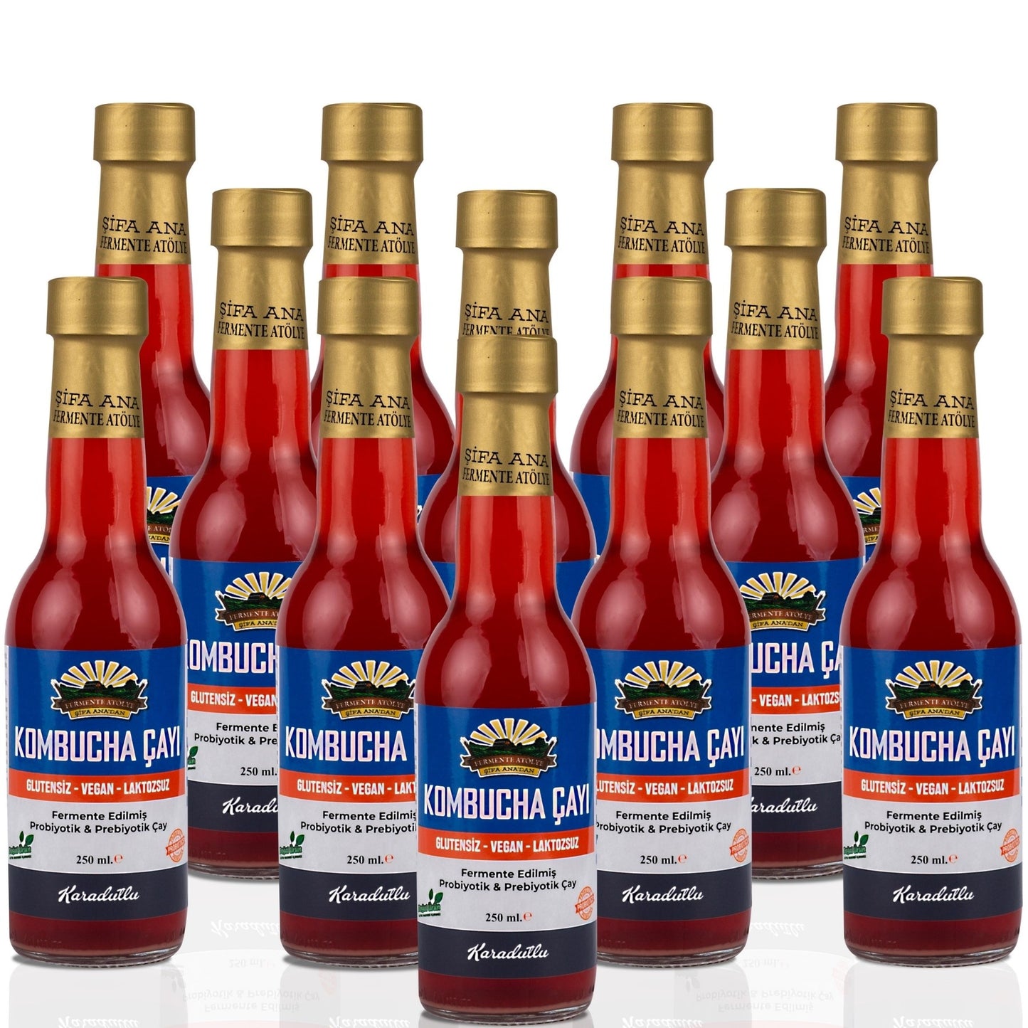 12 Adet Karadutlu Kombucha (250ml.) Cam Şişede