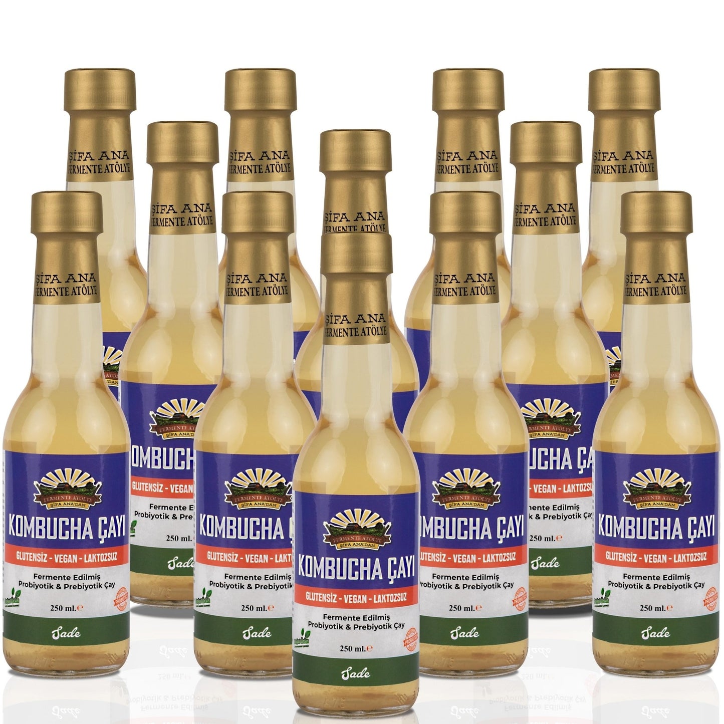 12 Adet Sade Kombucha (250ml.) Cam Şişede