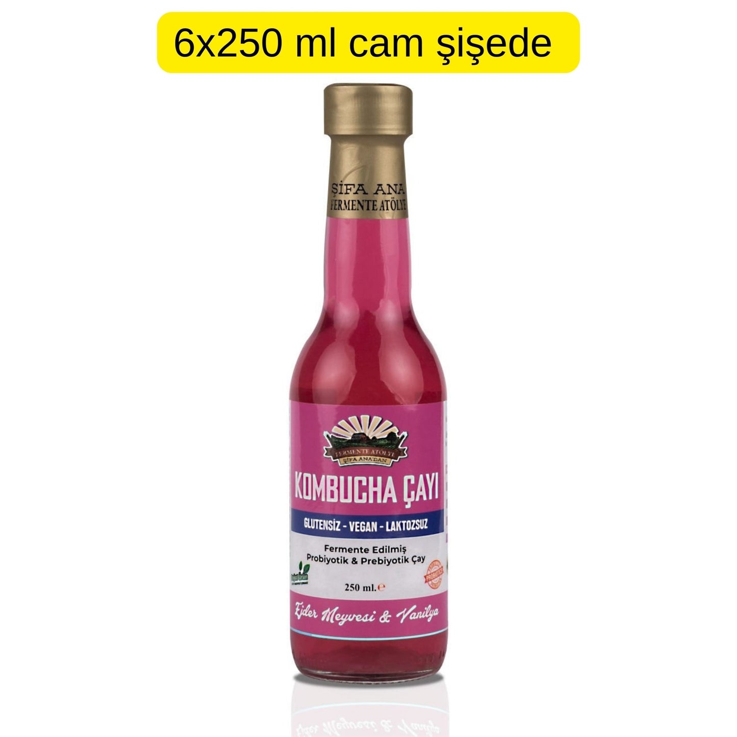 6 Adet Ejder Meyveli & Vanilyalı Kombucha (250ml.) Cam Şişede