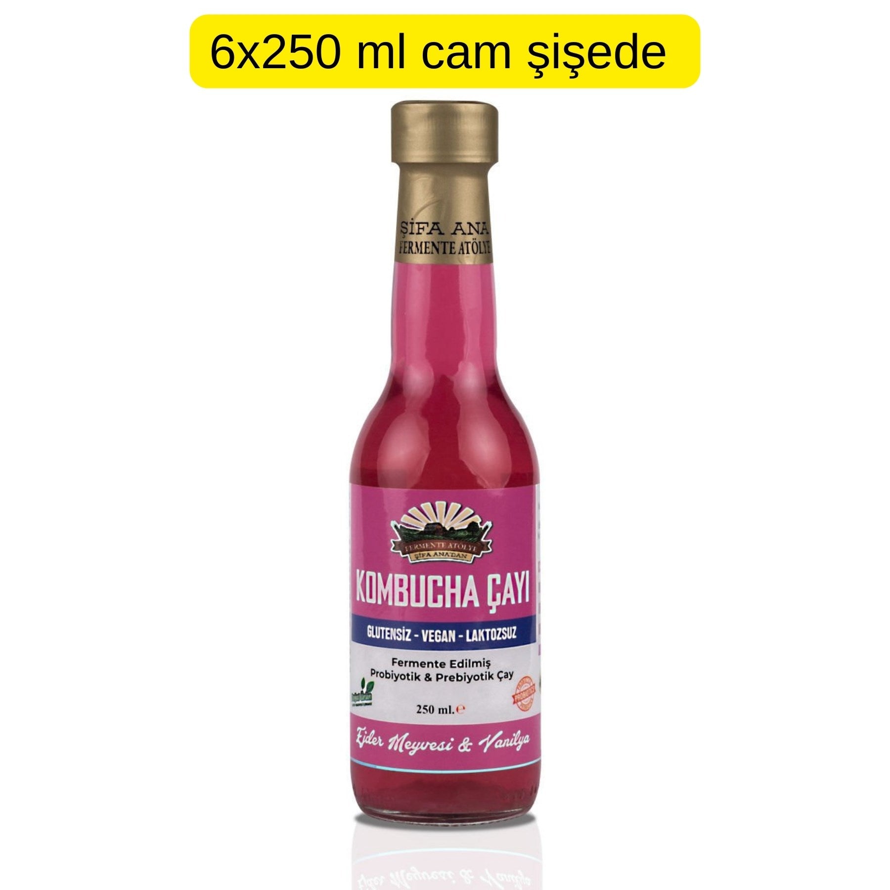 6 Adet Ejder Meyveli & Vanilyalı Kombucha (250ml.) Cam Şişede