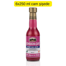 6 Adet Ejder Meyveli & Vanilyalı Kombucha (250ml.) Cam Şişede