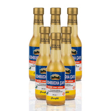 6 Adet Zencefilli Kombucha (250ml.) Cam Şişede