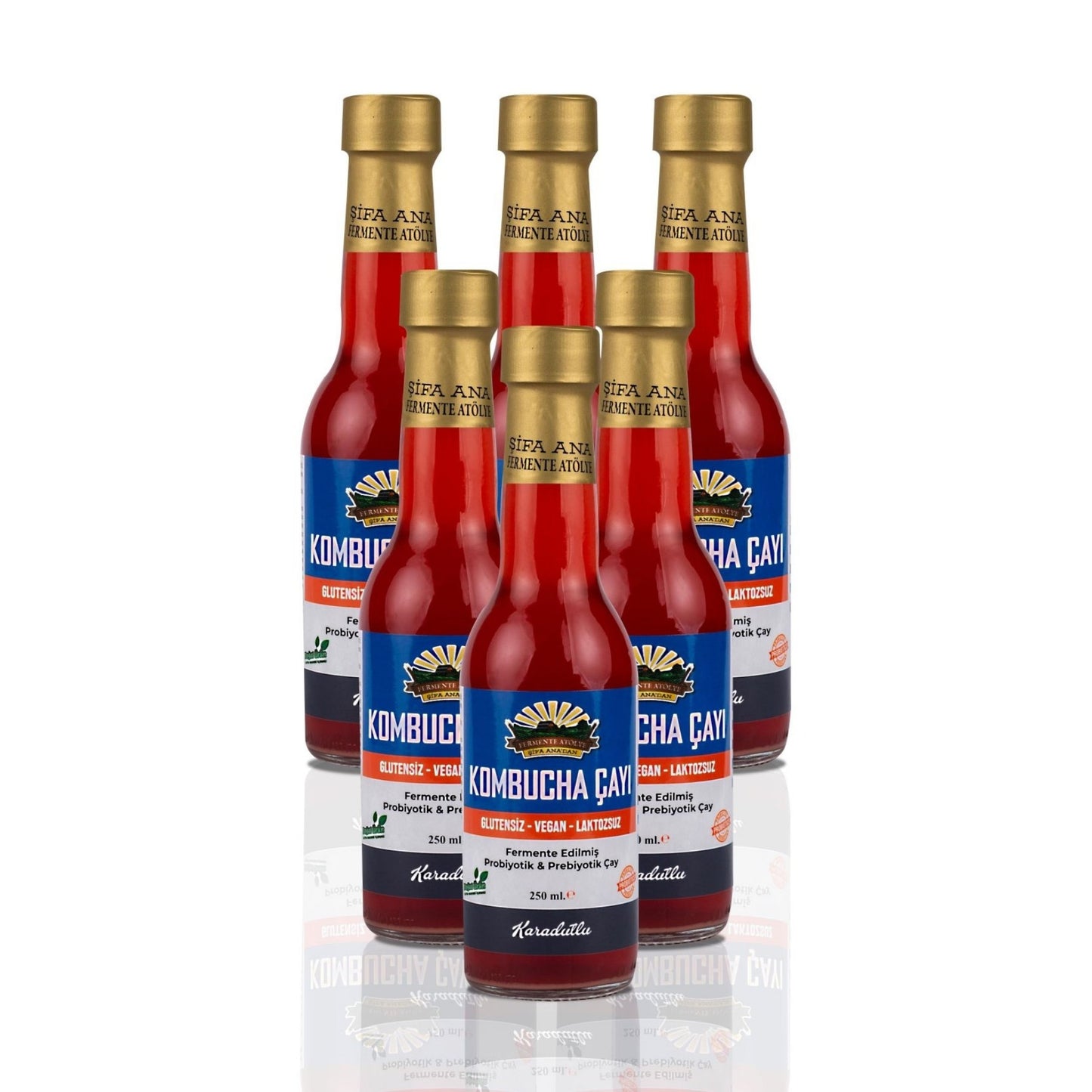 6 Adet Karadutlu Kombucha (250ml.) Cam Şişede