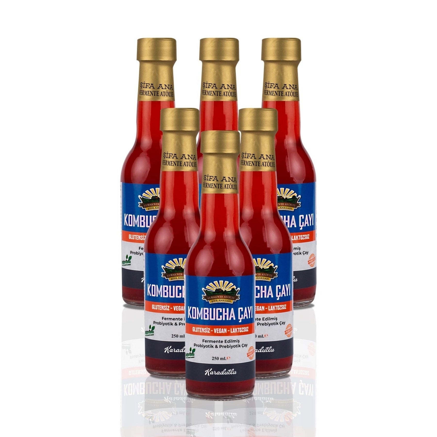 6 Adet Karadutlu Kombucha (250ml.) Cam Şişede