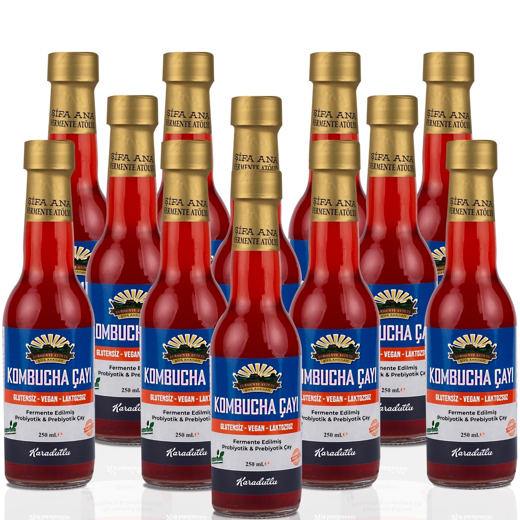 12 Adet Karadutlu Kombucha (250ml.) Cam Şişede