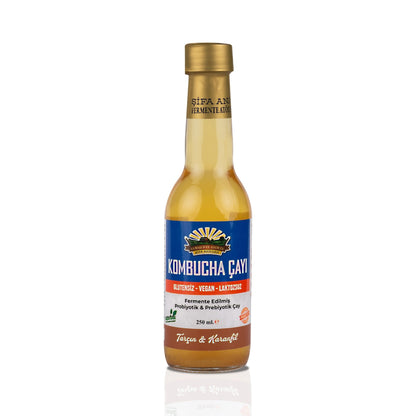 Tarçın & Karanfil Kombucha (250ml.) Cam Şişede