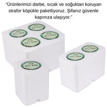 4 Adet Damla Sakızlı Bitkisel Macun (4x240gr.)