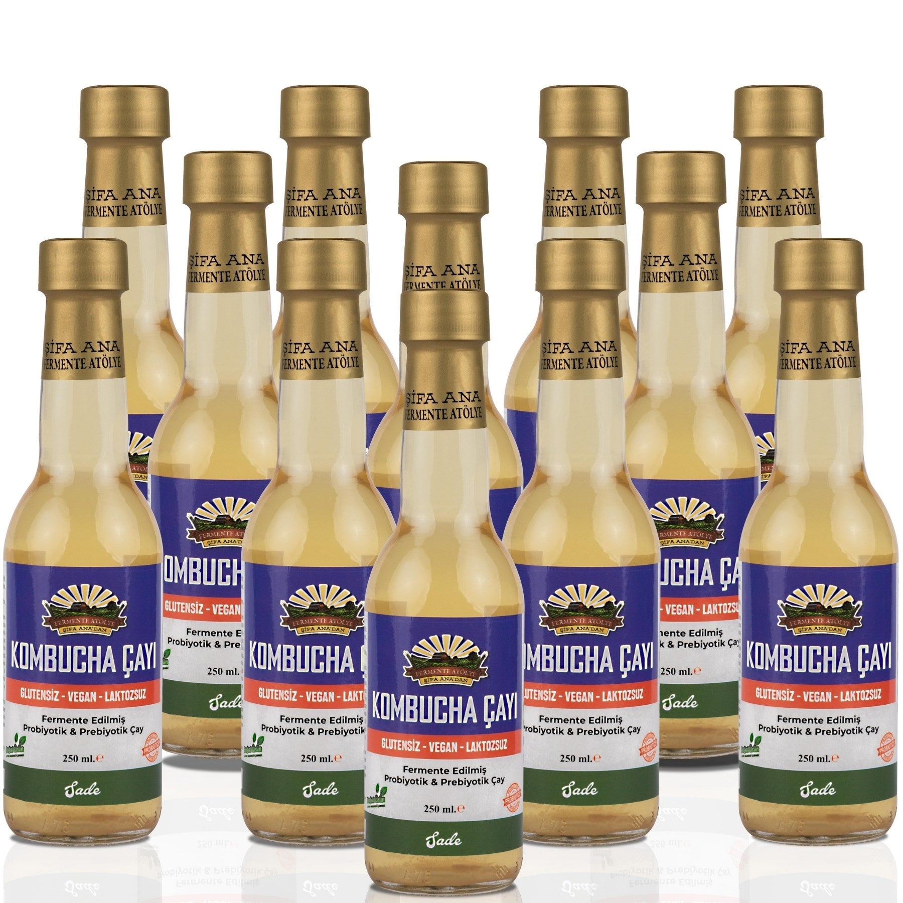 12 Adet Sade Kombucha (250ml.) Cam Şişede