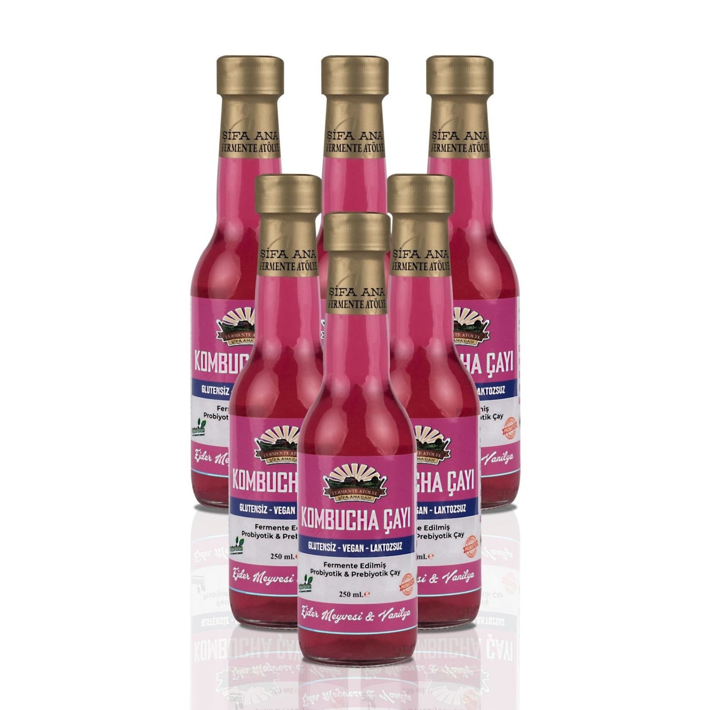 6 Adet Ejder Meyveli & Vanilyalı Kombucha (250ml.) Cam Şişede