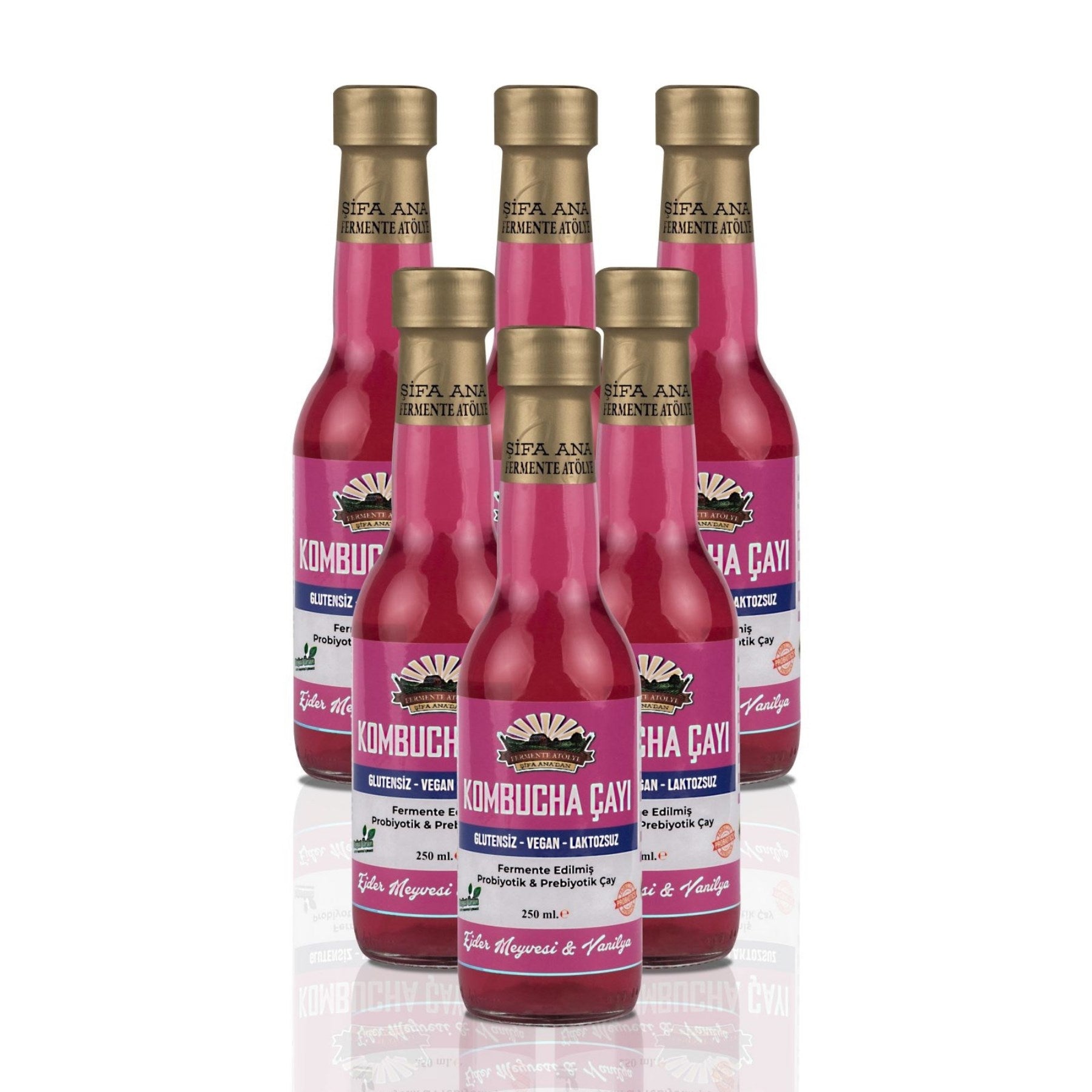 6 Adet Ejder Meyveli & Vanilyalı Kombucha (250ml.) Cam Şişede