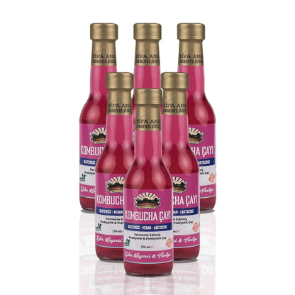 6 Adet Ejder Meyveli & Vanilyalı Kombucha (250ml.) Cam Şişede
