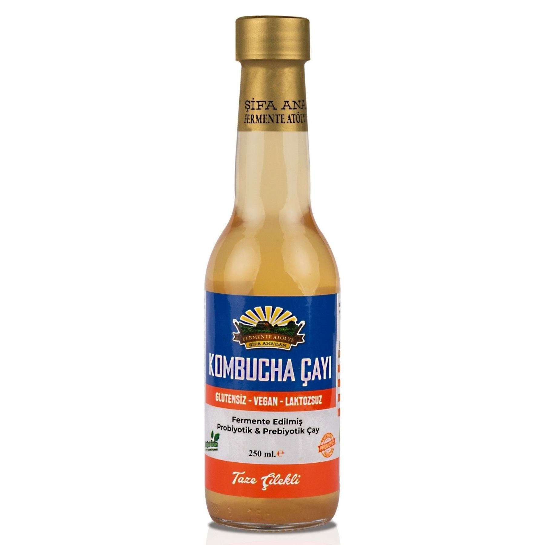 Kombucha Deneme Paketi