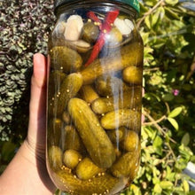 Kornişon Turşusu (Acılı)