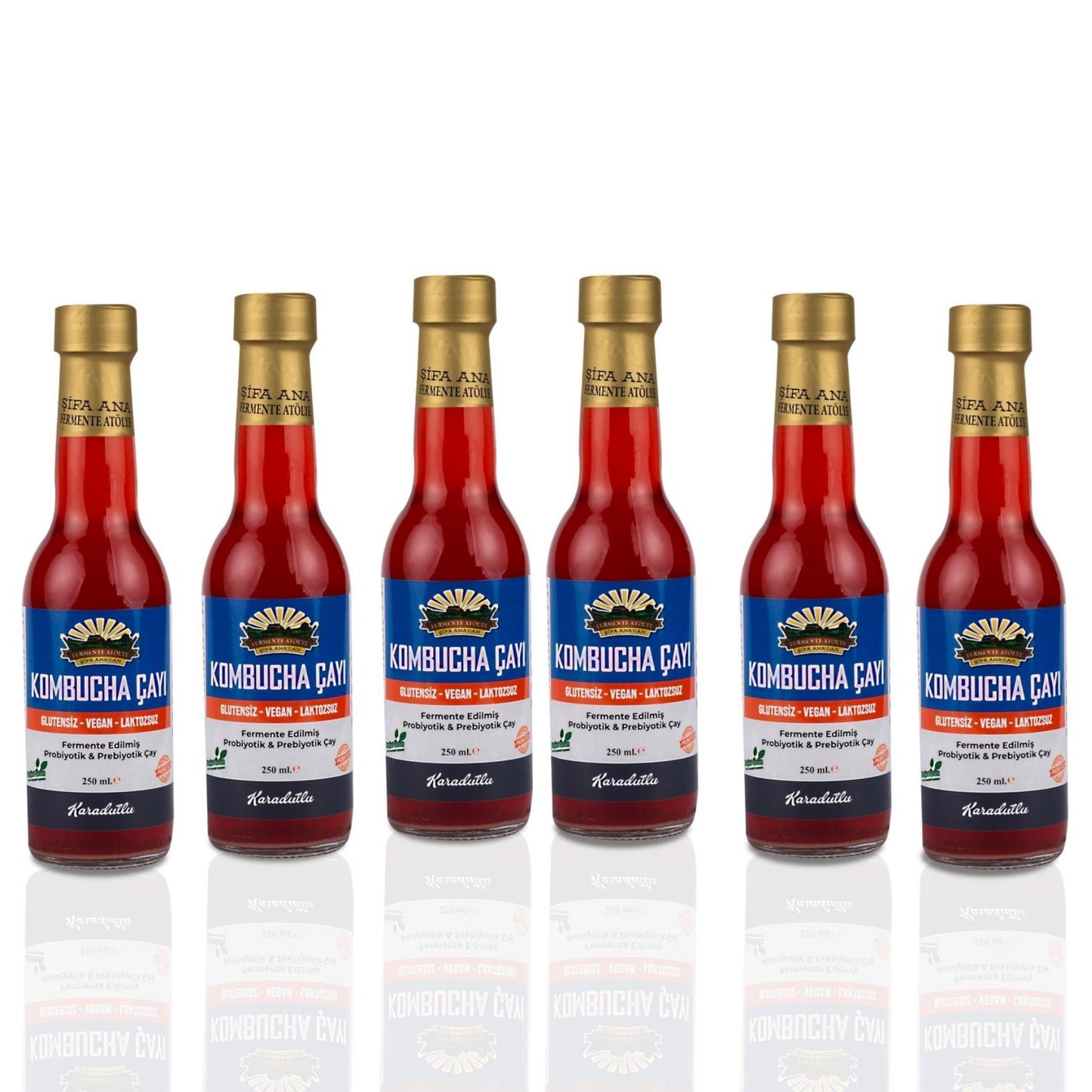 6 Adet Karadutlu Kombucha (250ml.) Cam Şişede