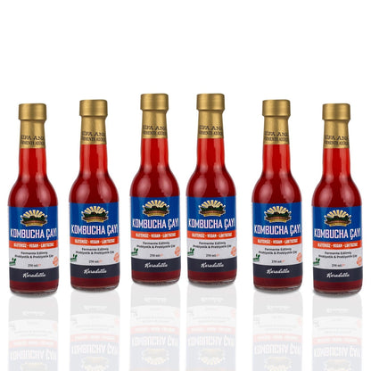 6 Adet Karadutlu Kombucha (250ml.) Cam Şişede