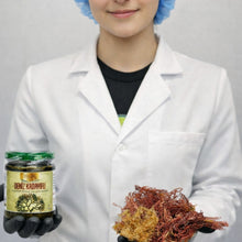 4 Adet Deniz Kadayıfı Macunu (240 gr.)
