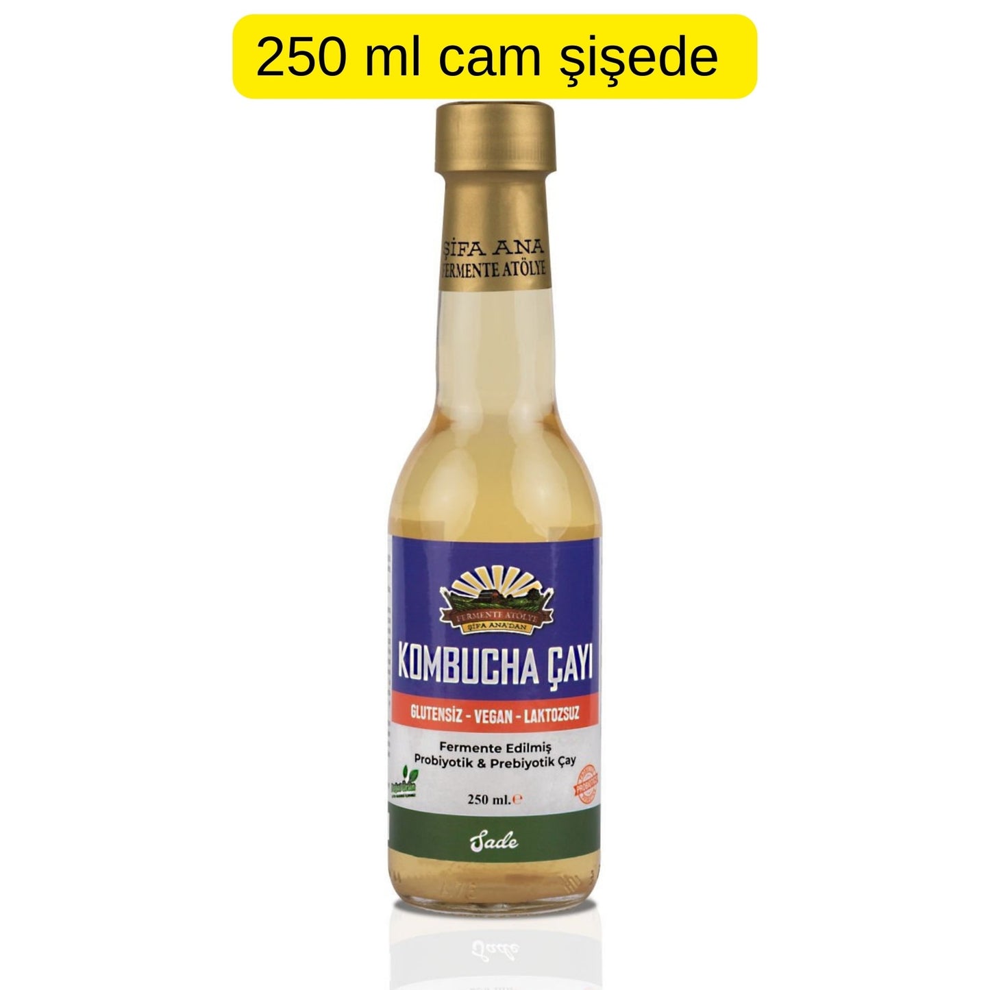 6 Adet Sade Kombucha (250ml.) Cam Şişede