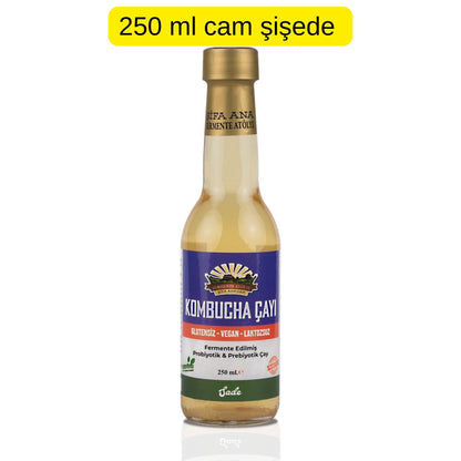 6 Adet Sade Kombucha (250ml.) Cam Şişede
