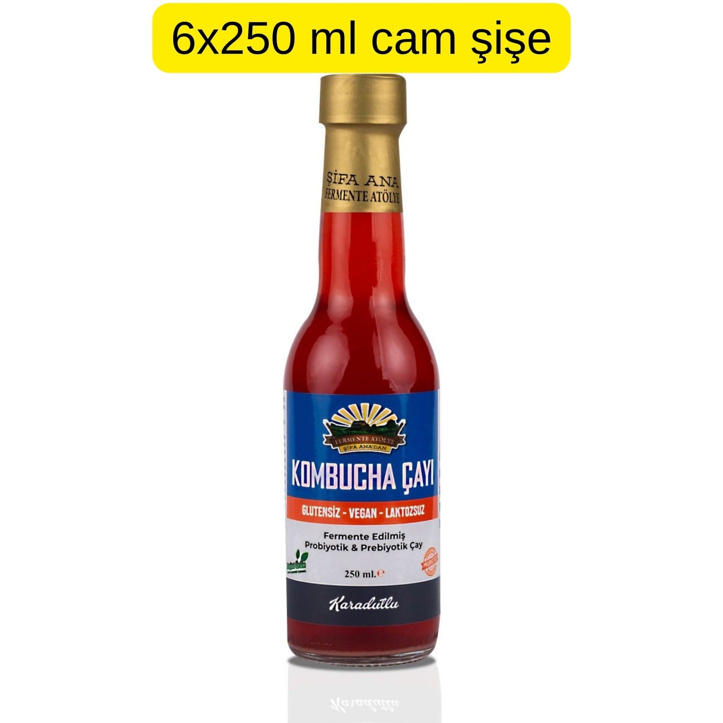 6 Adet Karadutlu Kombucha (250ml.) Cam Şişede
