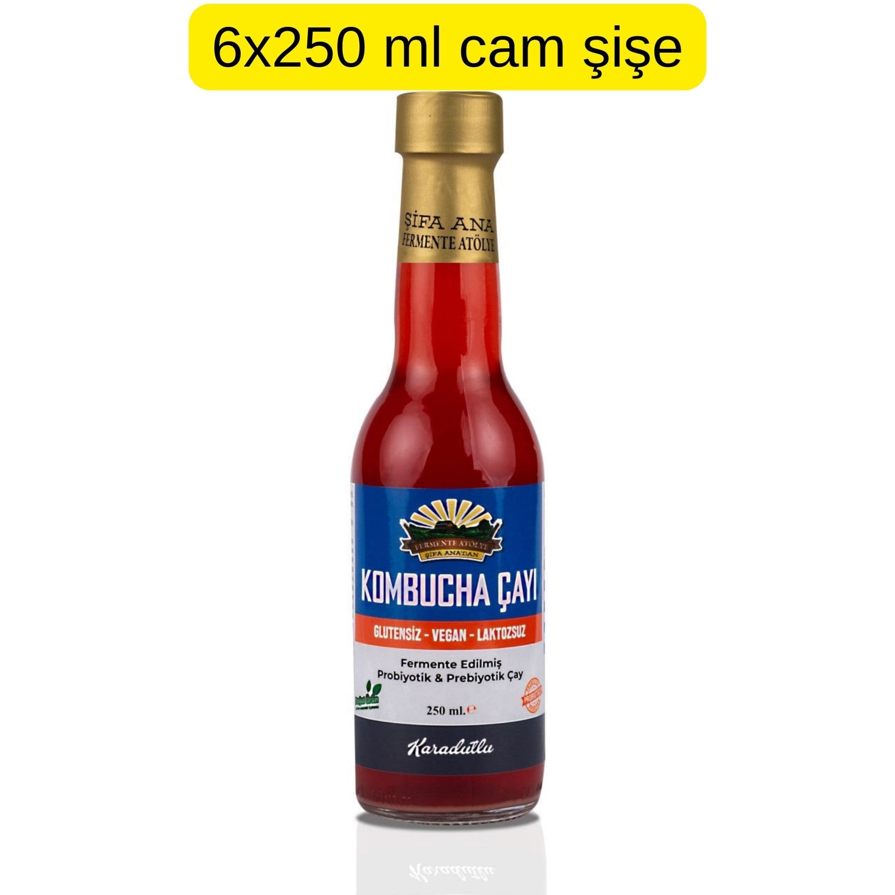 6 Adet Karadutlu Kombucha (250ml.) Cam Şişede