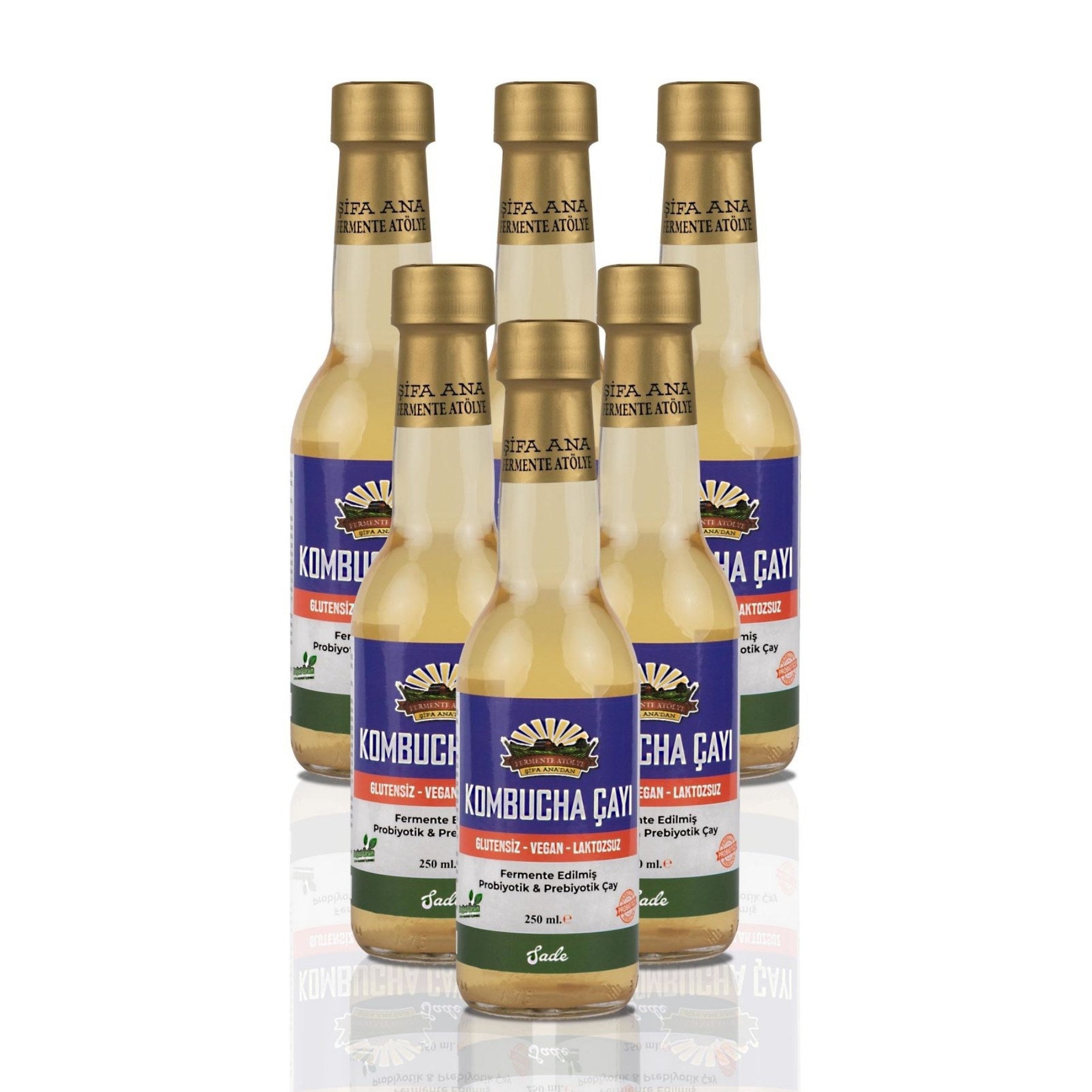 6 Adet Sade Kombucha (250ml.) Cam Şişede