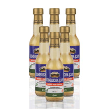 6 Adet Sade Kombucha (250ml.) Cam Şişede