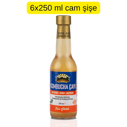 6 Adet Taze Çilekli Kombucha (250ml.) Cam Şişede