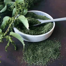 Öğütülmüş Isırgan Otu Tohumu