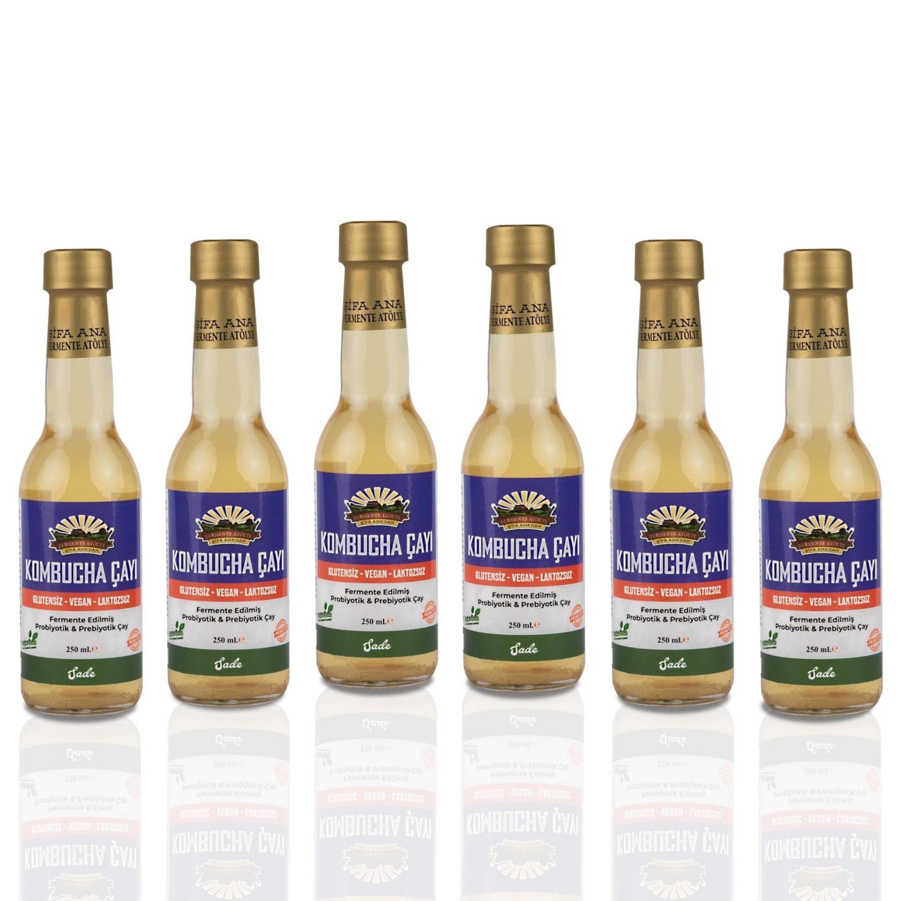 6 Adet Sade Kombucha (250ml.) Cam Şişede