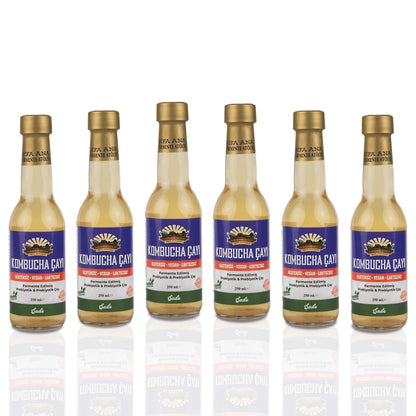 6 Adet Sade Kombucha (250ml.) Cam Şişede