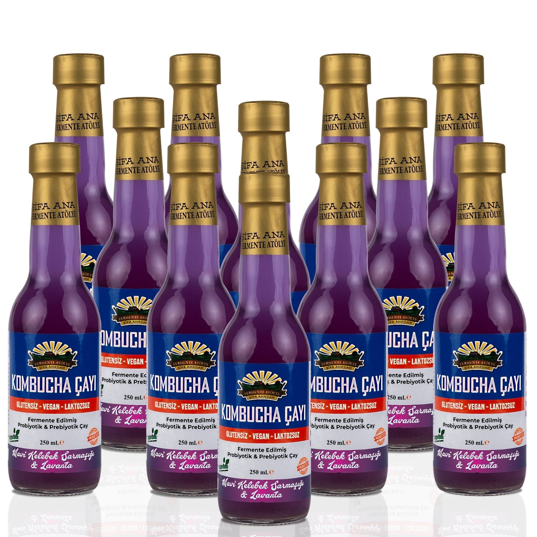 12 Adet Mavi Kelebek & Lavanta Kombucha (250ml.) Cam Şişede