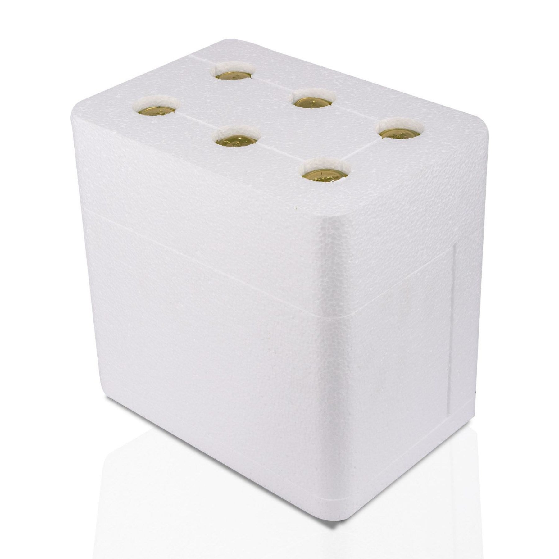 6 Adet Sade Kombucha (250ml.) Cam Şişede