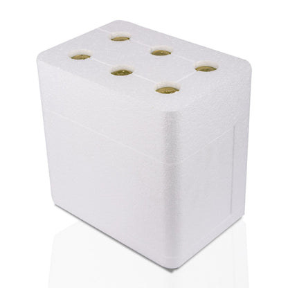 6 Adet Sade Kombucha (250ml.) Cam Şişede