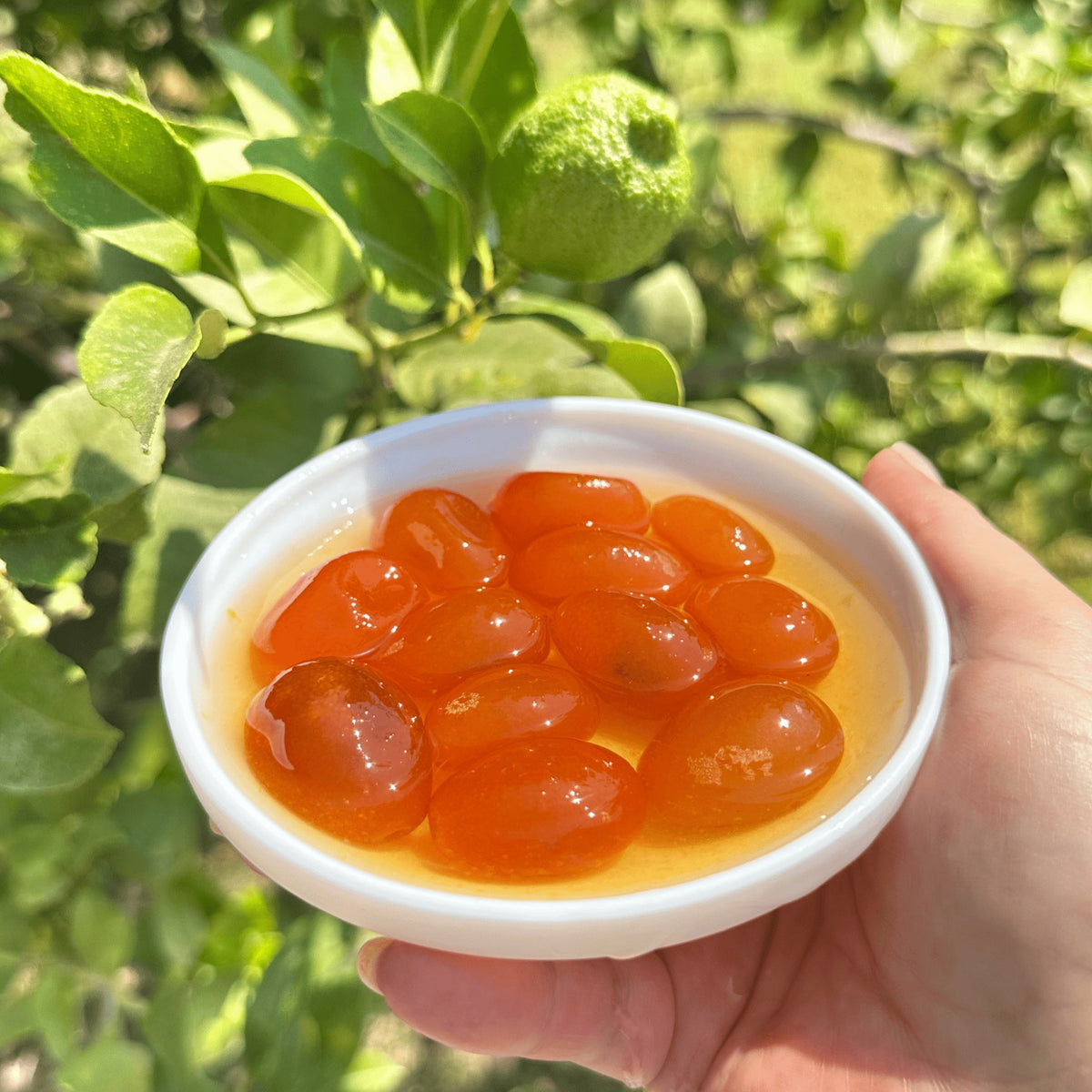 Kumkat Reçeli 370 cc Kavanozda