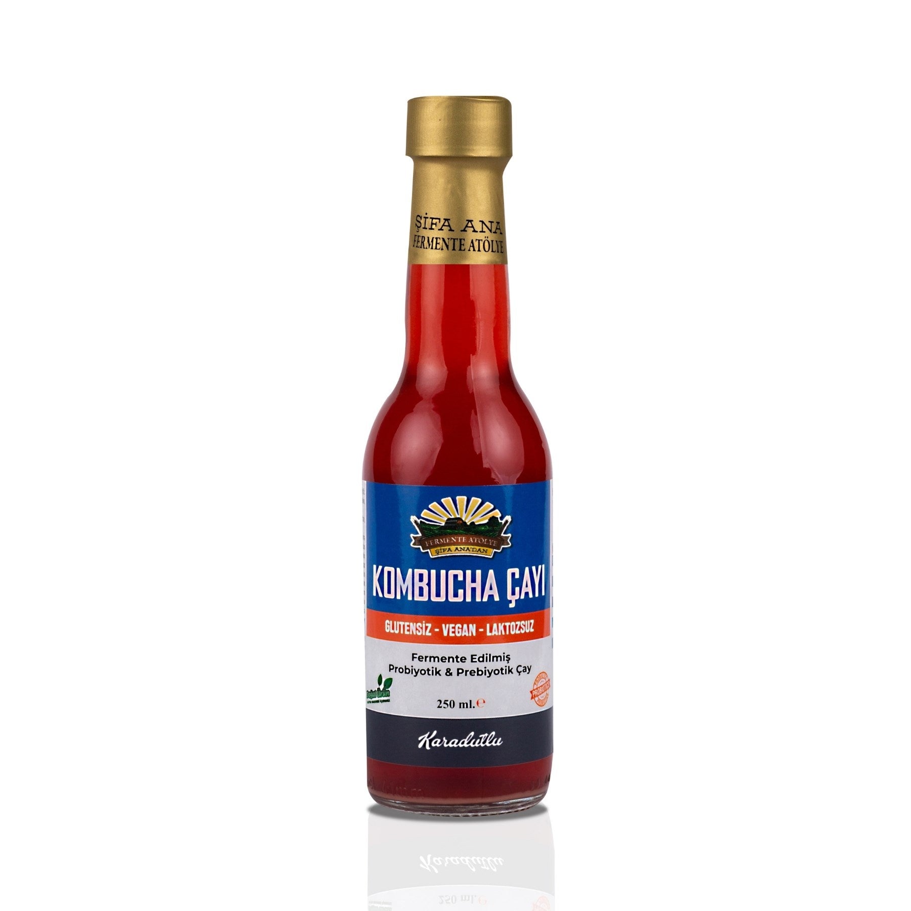 Karadutlu Kombucha (250ml.) Cam Şişede