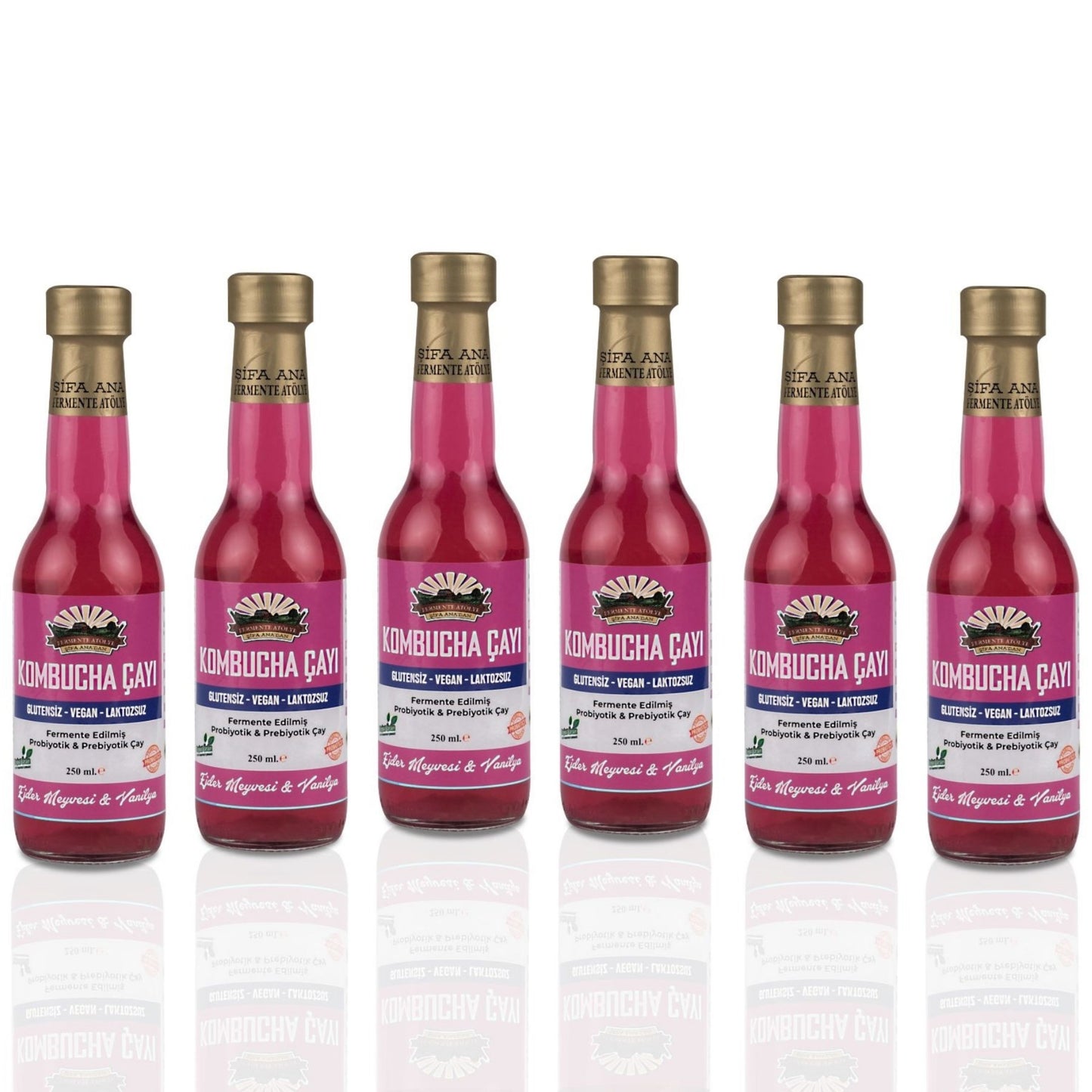 6 Adet Ejder Meyveli & Vanilyalı Kombucha (250ml.) Cam Şişede
