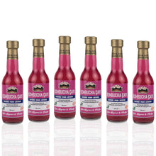 6 Adet Ejder Meyveli & Vanilyalı Kombucha (250ml.) Cam Şişede