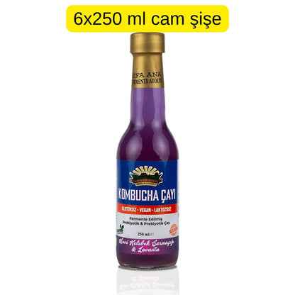 6 Adet Mavi Kelebek & Lavanta Kombucha (250ml.) Cam Şişede