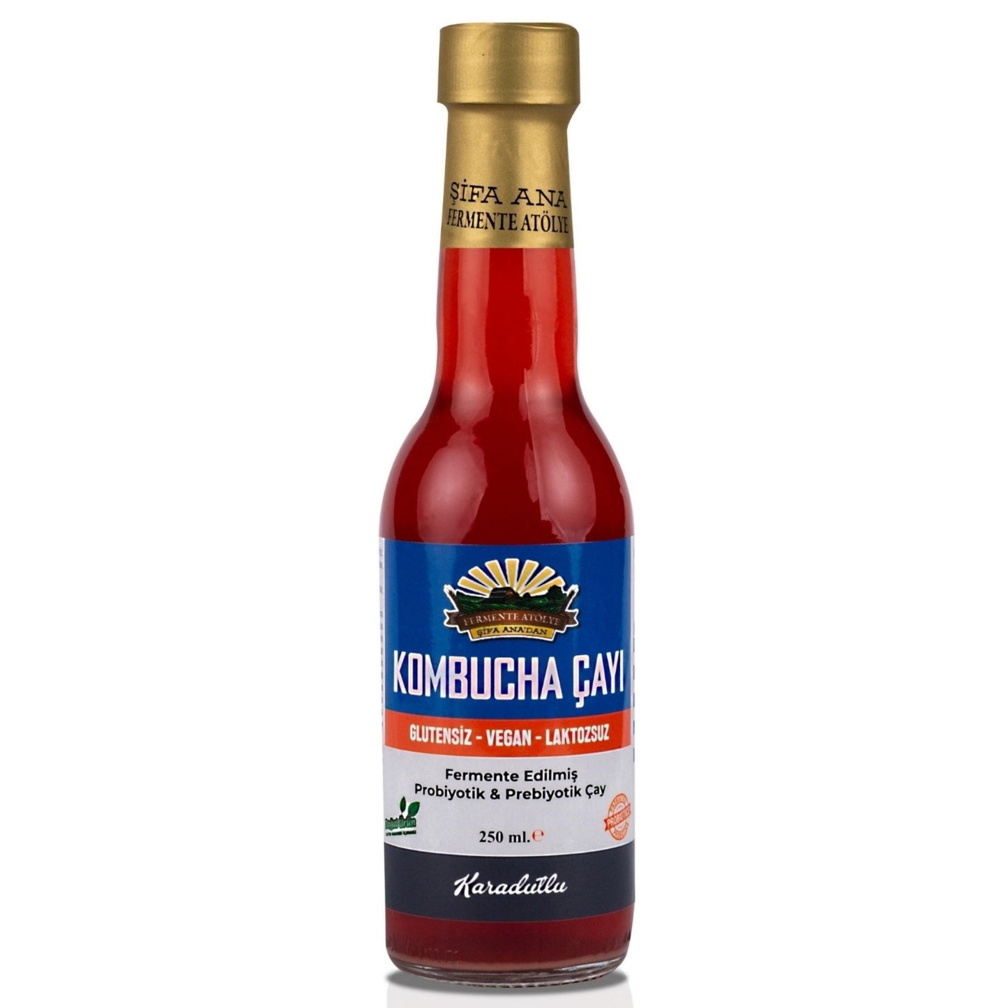 Kombucha Deneme Paketi