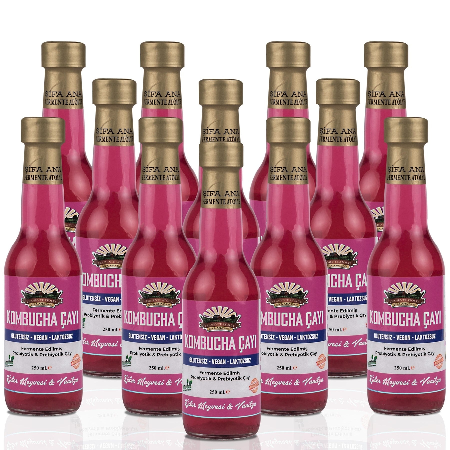 12 Adet Ejder Meyveli & Vanilyalı Kombucha (250ml.) Cam Şişede