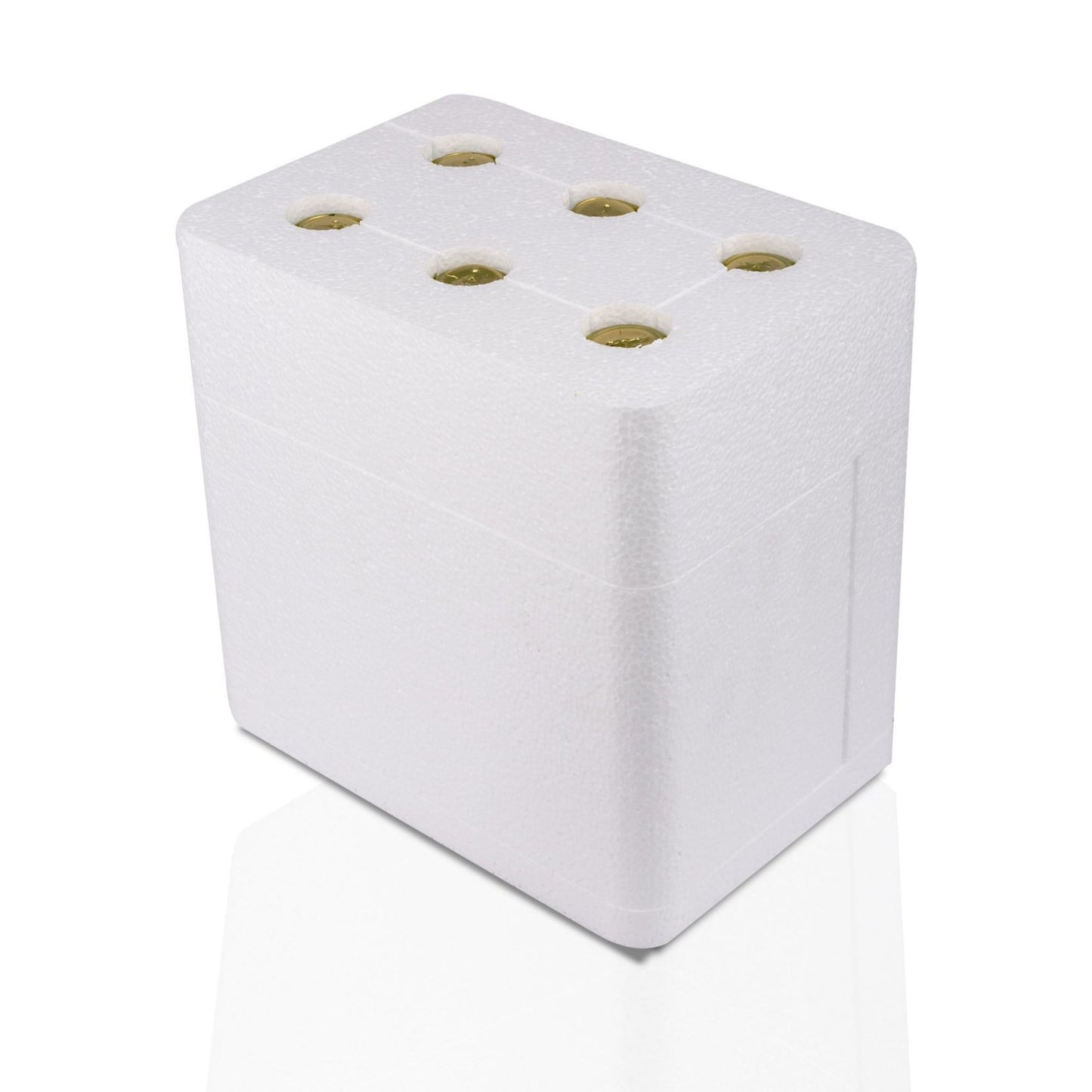 6 Adet Zencefilli Kombucha (250ml.) Cam Şişede