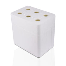 6 Adet Zencefilli Kombucha (250ml.) Cam Şişede