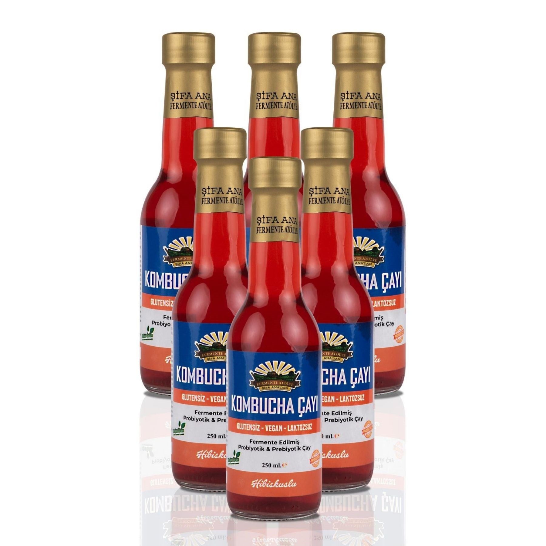 6 Adet Hibiskuslu Kombucha (250ml.) Cam Şişede